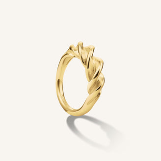 Bague torsadée leftcolumn