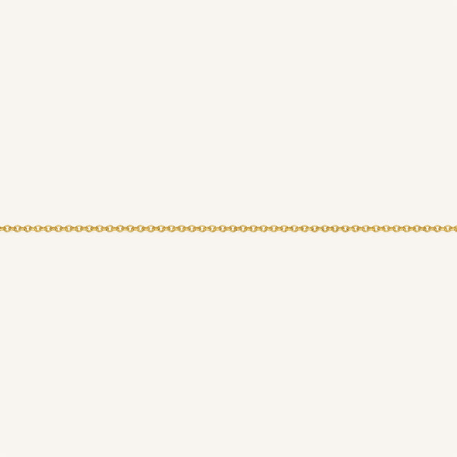 B-Gold-4,leftcolumn