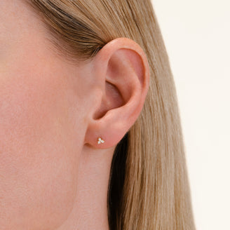 Puces Triangle leftcolumn,