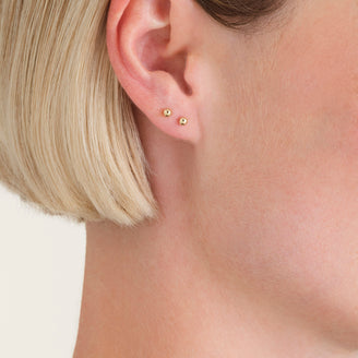 Puces Mini Bille leftcolumn