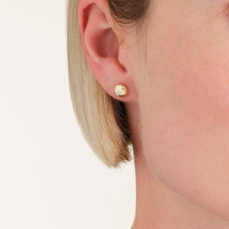 Puces Boule leftcolumn