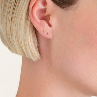 Puces Triangle leftcolumn